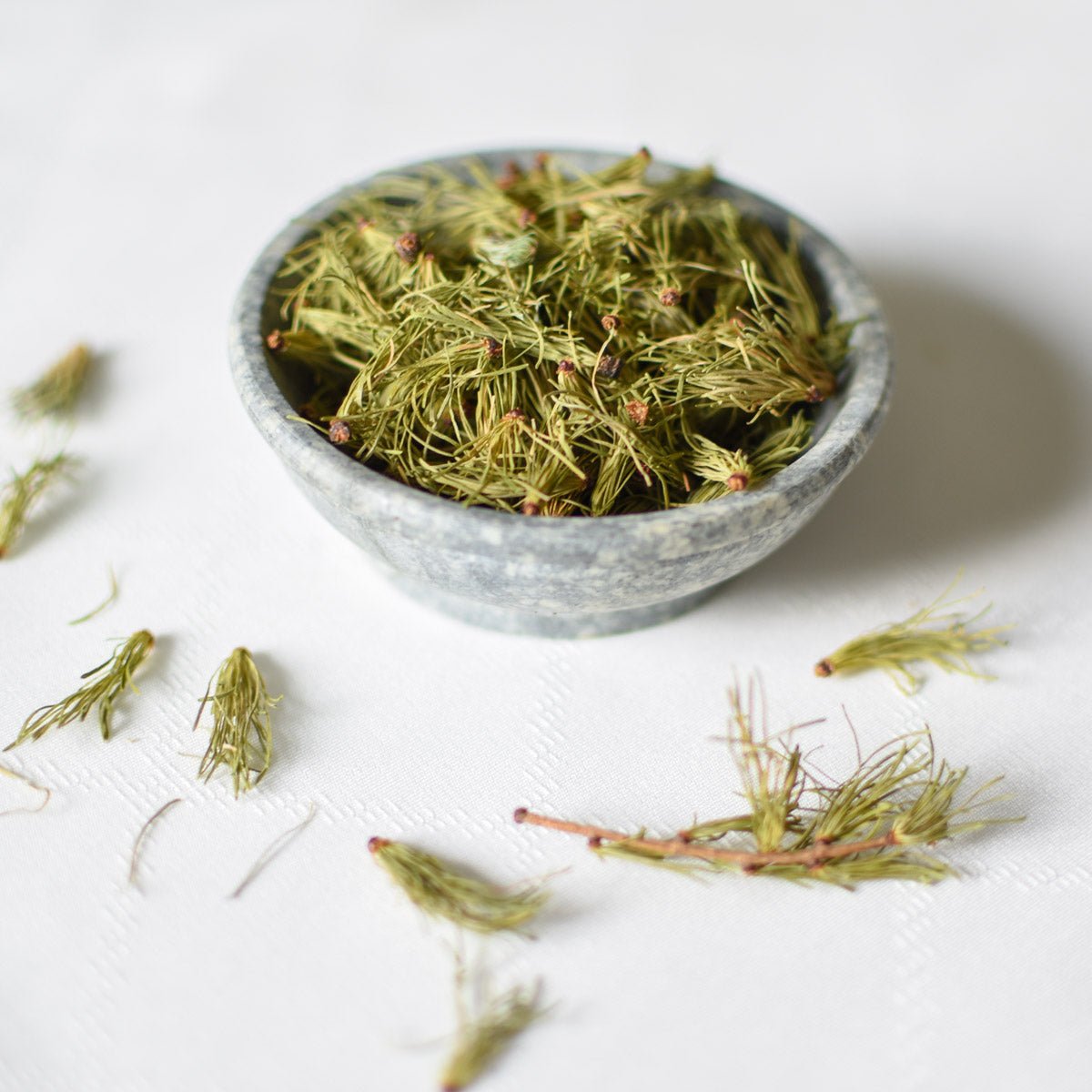 Mélèze | Aiguille entière séchée (Larix laricina)