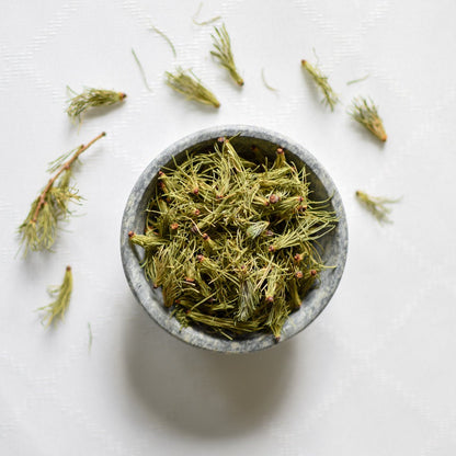 Mélèze | Aiguille entière séchée (Larix laricina)
