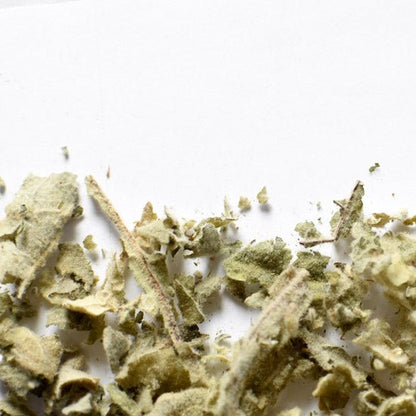 Molène | Feuille entière séchée (Verbascum thapsus)