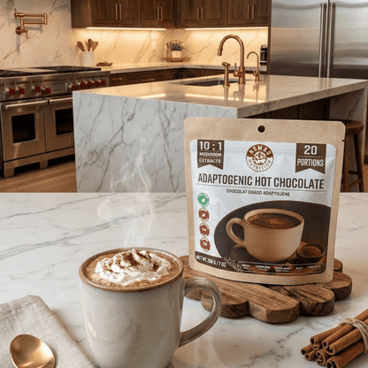 Adaptogenic Hot Chocolate