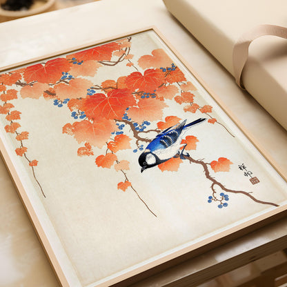 Ohara Koson - Mésange charbonnière sur branche de Paulownia | ESTAMPE | Art japonais Shin-Hanga Kachō-e vintage orange et bleu (disponible encadré)