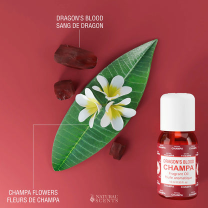 Dragon's Blood Champa Fragrant Oil