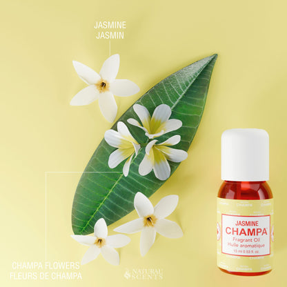 Jasmine Champa Fragrant Oil