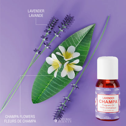 Huile parfumée Lavande Champa