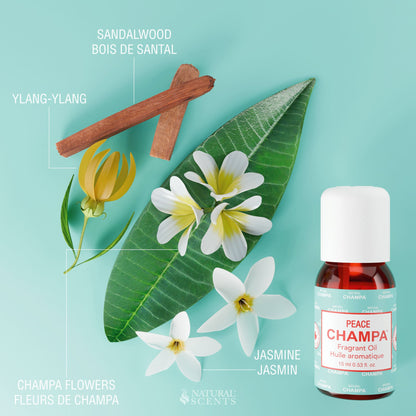 Huile parfumée Peace Champa