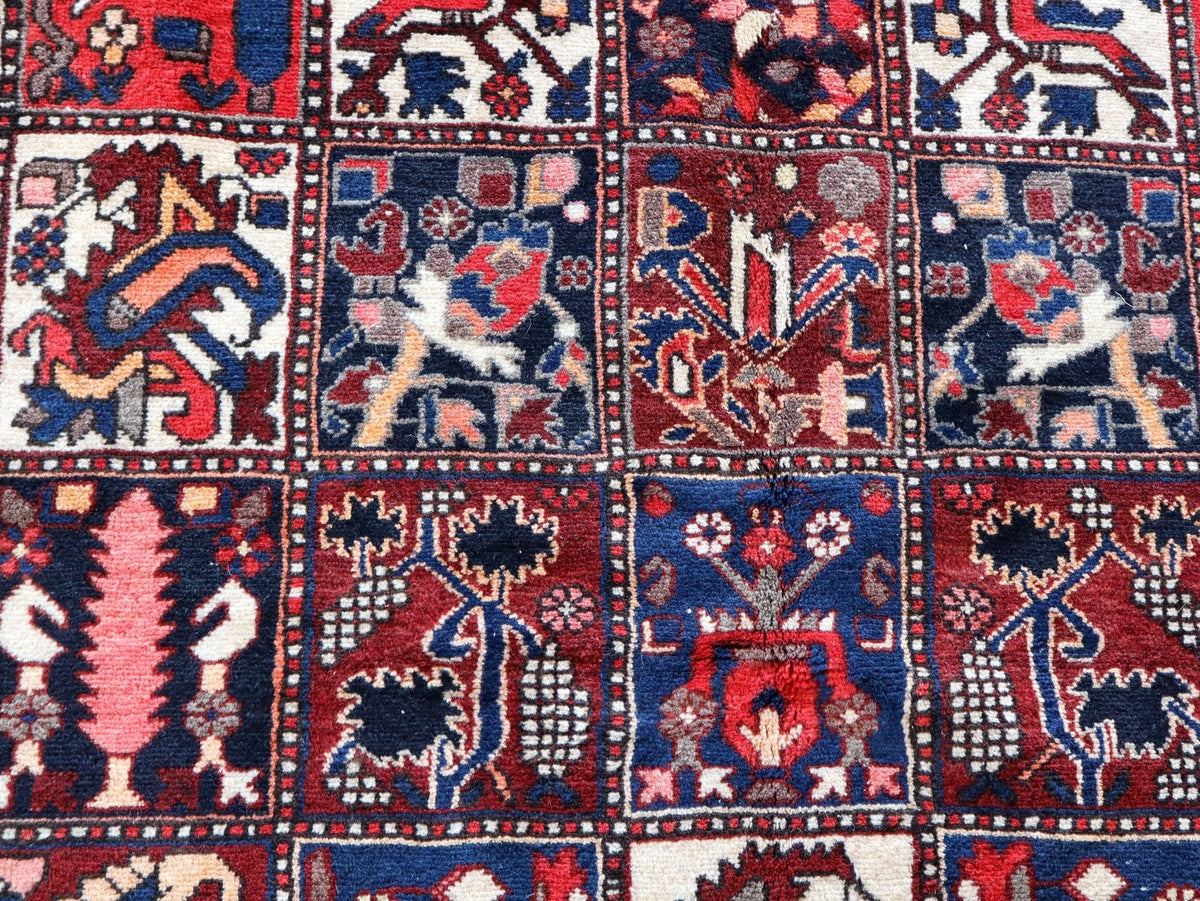 Persian Bakhtiari Rug | 5' 1" x 9' 6"
