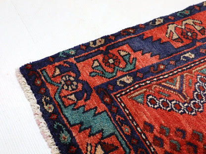 Persian Hamadan Runner Rug | 3' 3” x 6' 9"