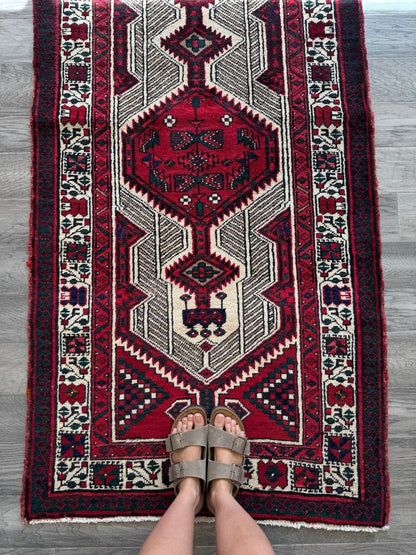 Persian Sarab Runner Rug | 2' 11" x 10' 6"