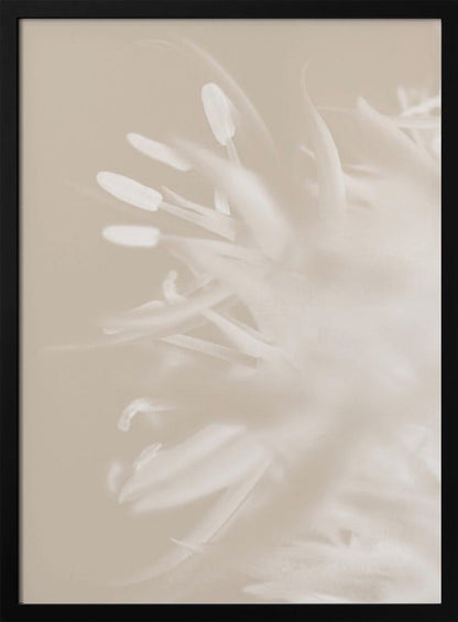 Wall art Flower Beige_1