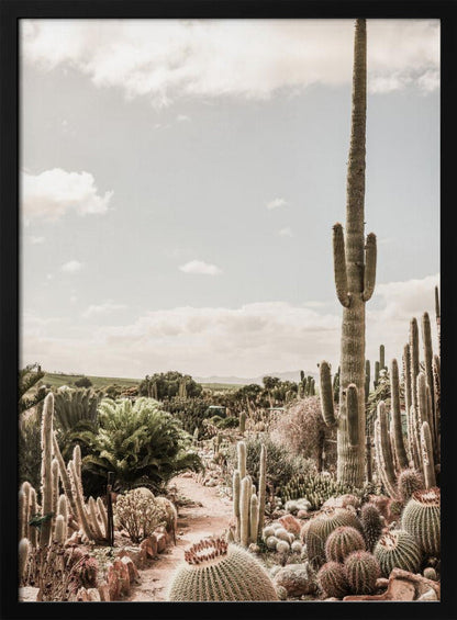 Art mural La ferme aux cactus