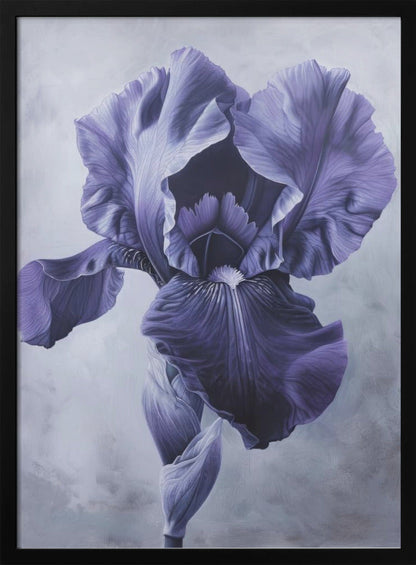 Décoration murale Iris Fl 95