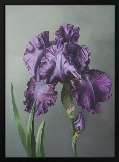 Décoration murale Iris Fl 18