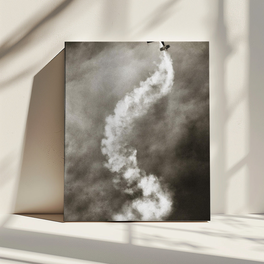 Wall art Aviation DNA