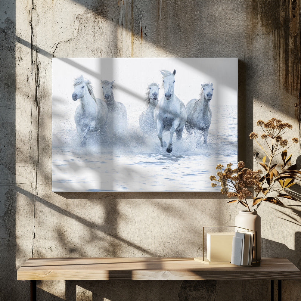 White Horses Running Through Water Canvas Wall Art | Horses on the Run