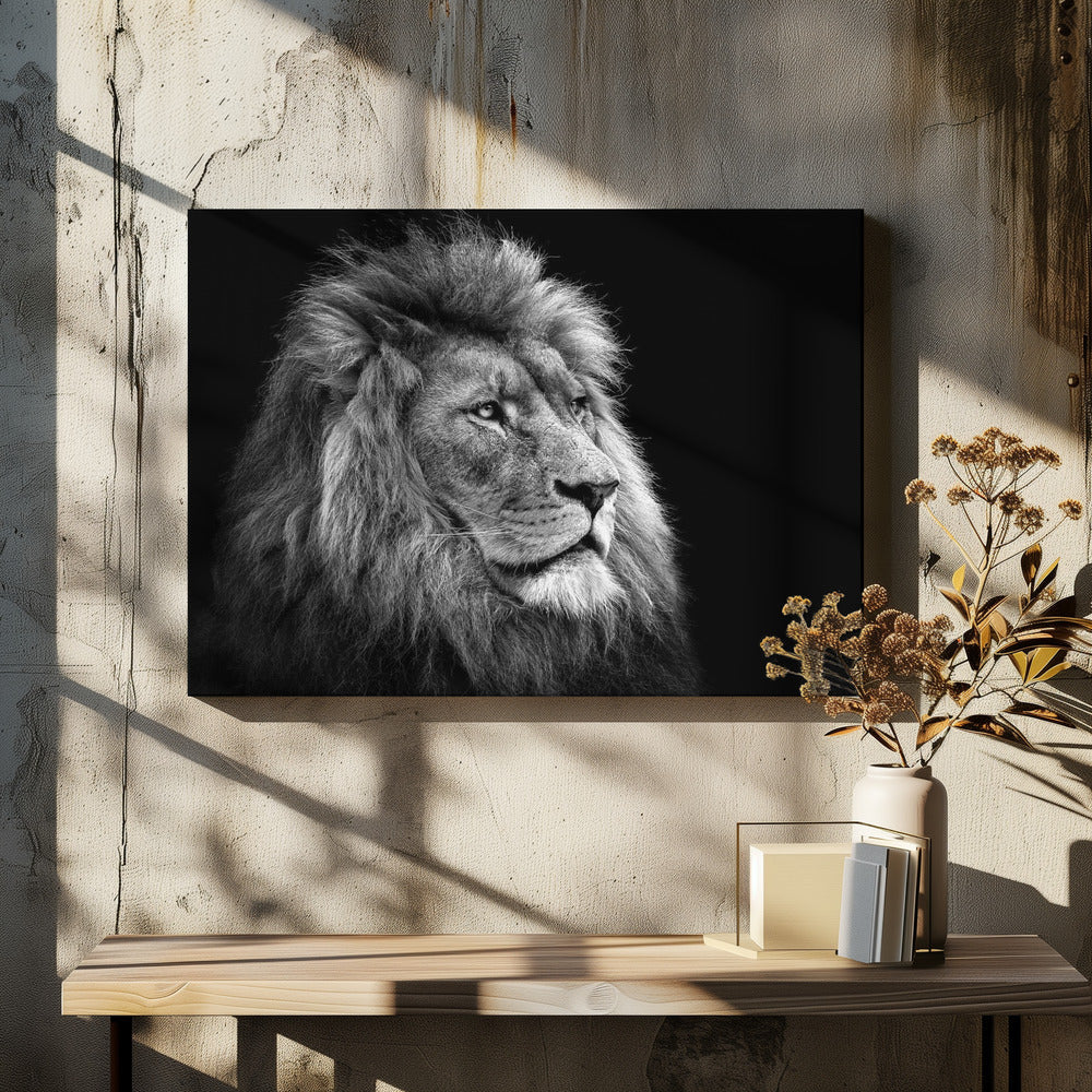 Black and White Lion in Side Profile Canvas Wall Art