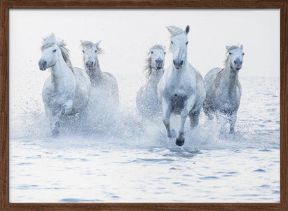 White Horses Running Through Water Canvas Wall Art | Horses on the Run