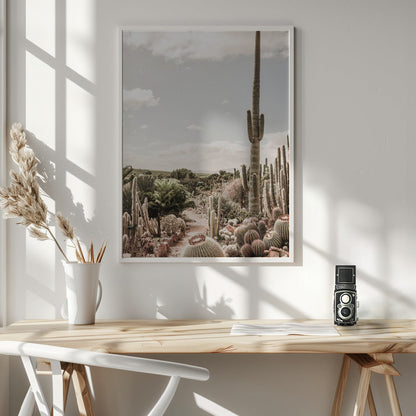 Art mural La ferme aux cactus