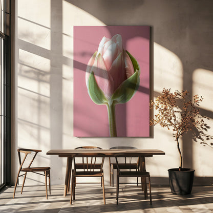 Décoration murale Tulipe Rose