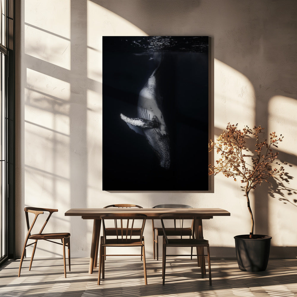 Art mural-Baleine noire