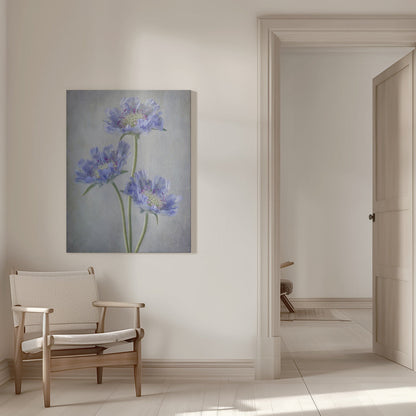Wall Art Scabiosa