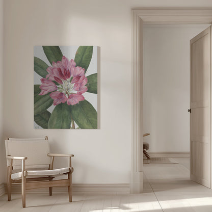 Wall Art Mountain Rose Bay (1932)