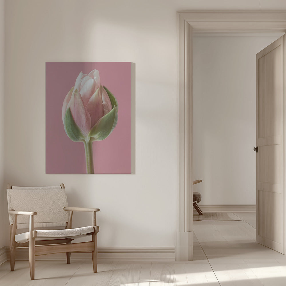 Décoration murale Tulipe Rose
