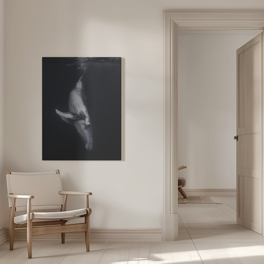 Art mural-Baleine noire