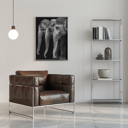 Wall art Nature\'s great masterpiece, an elephant; the only harmless great thing ...