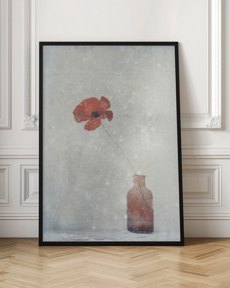 Décoration murale Coquelicot d'hiver