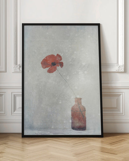 Décoration murale Coquelicot d'hiver