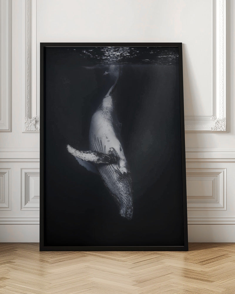 Art mural-Baleine noire