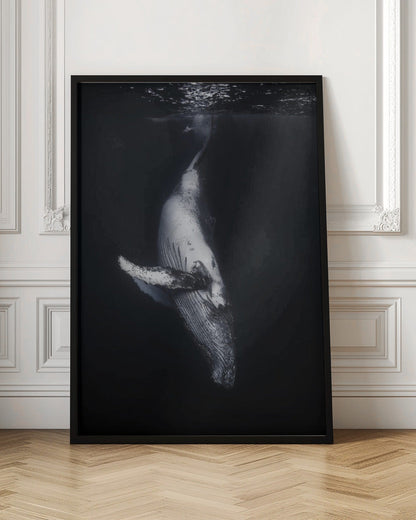 Art mural-Baleine noire