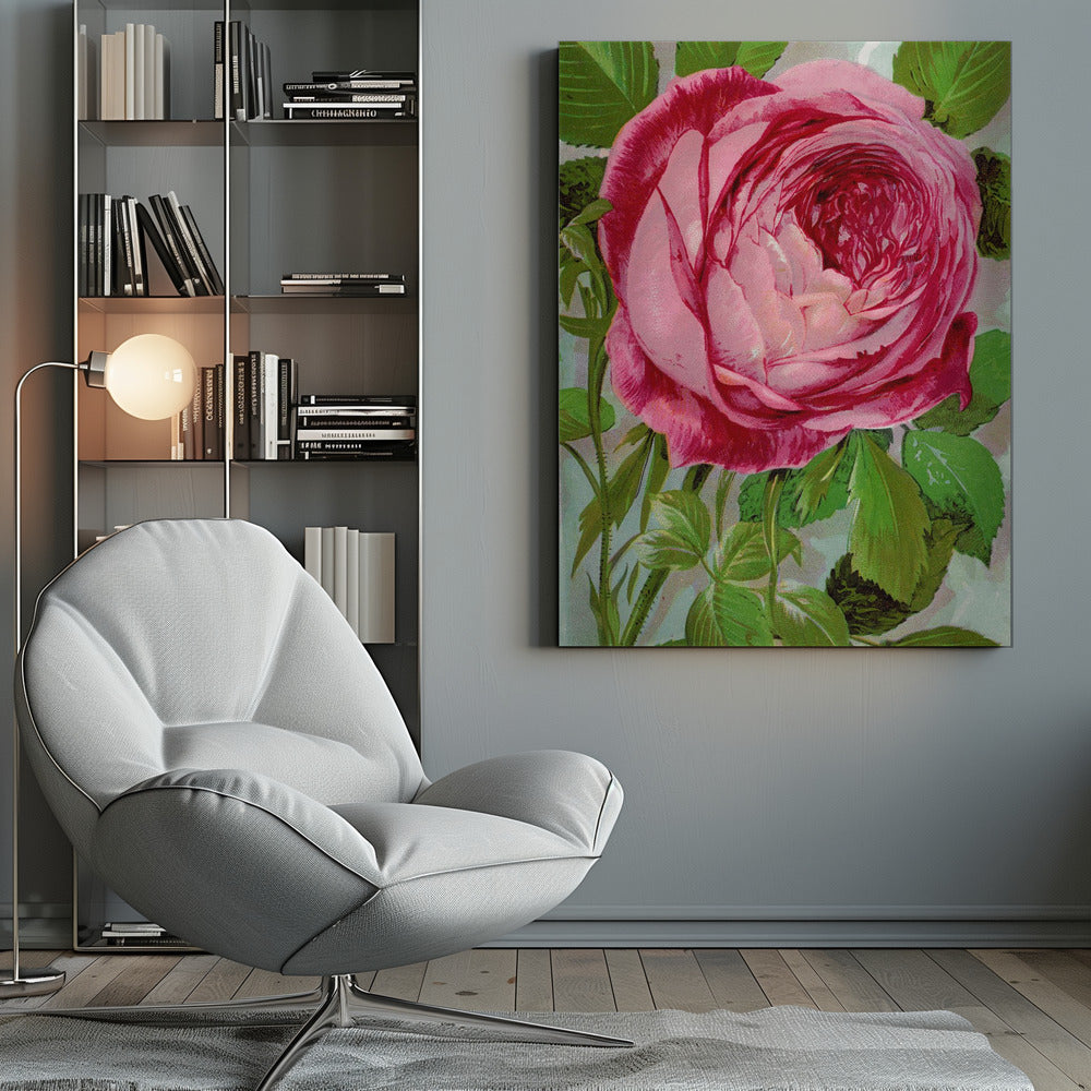 Wall Art Pink Rose, Mrs John Laing Lithograph
