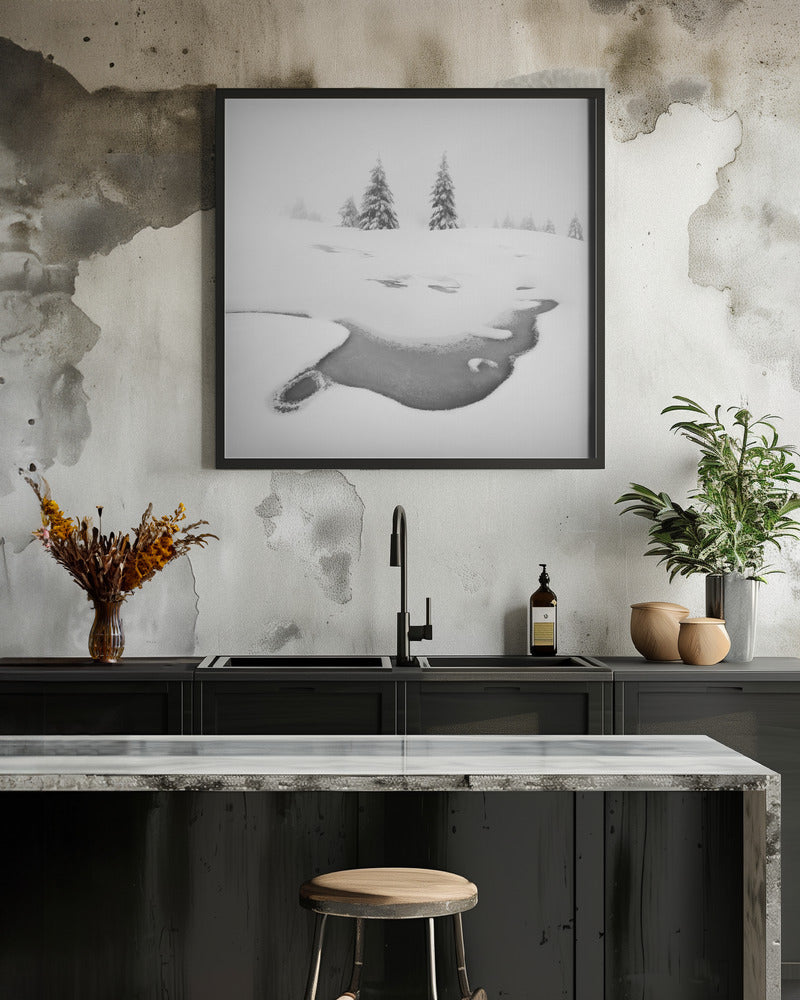 Wall art Frozen swamps