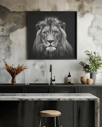 Art mural Impression sur toile jeune lion mâle