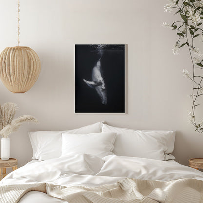 Art mural-Baleine noire
