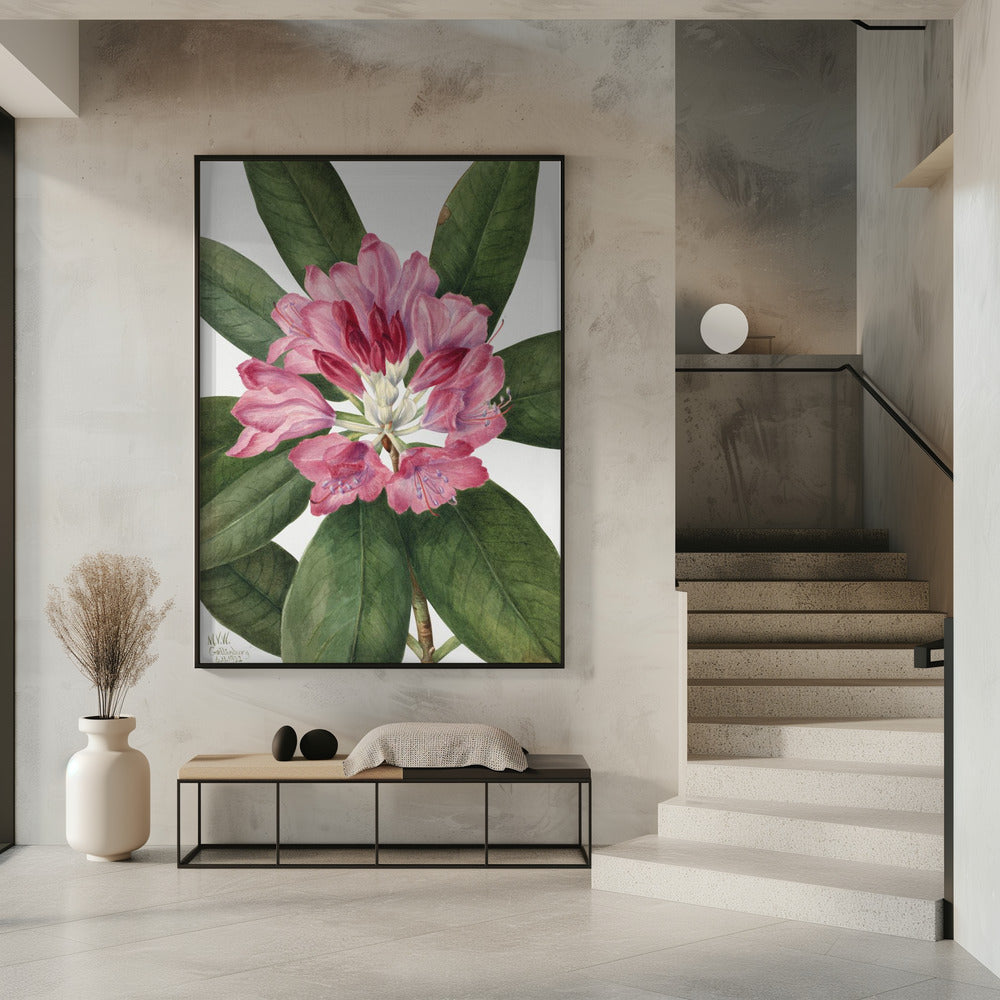 Wall Art Mountain Rose Bay (1932)