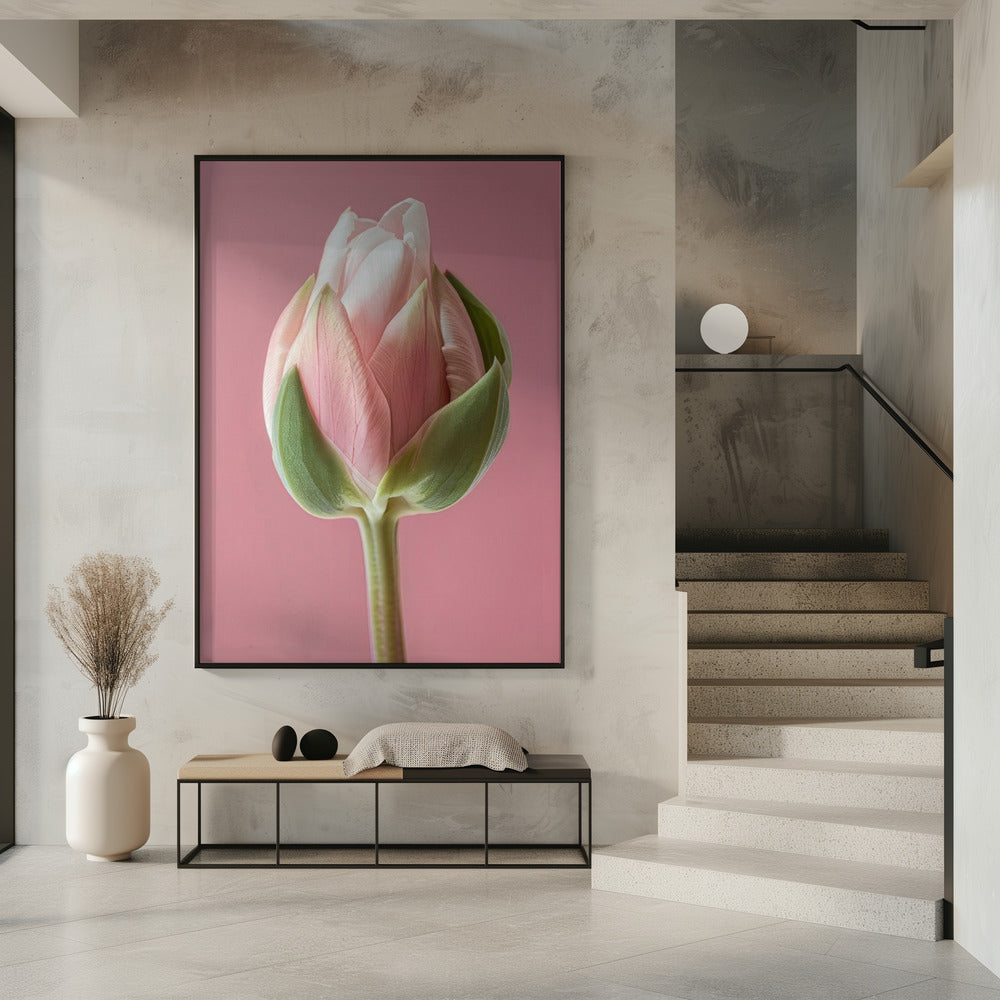Décoration murale Tulipe Rose