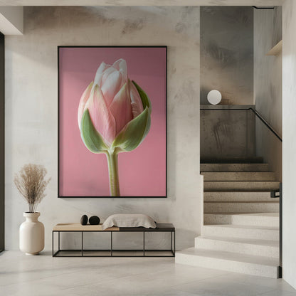 Décoration murale Tulipe Rose