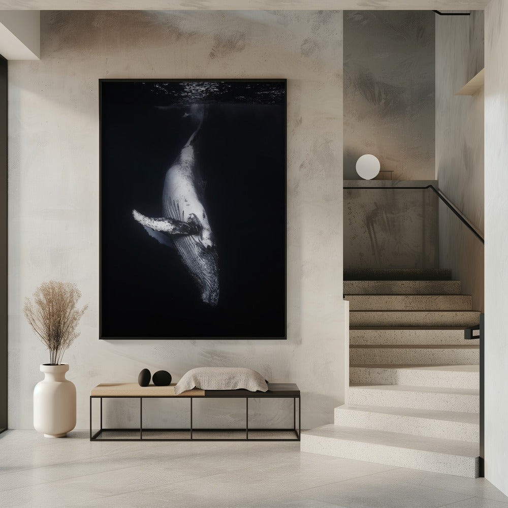 Art mural-Baleine noire