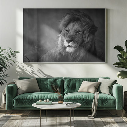Wall art Regal. Lion