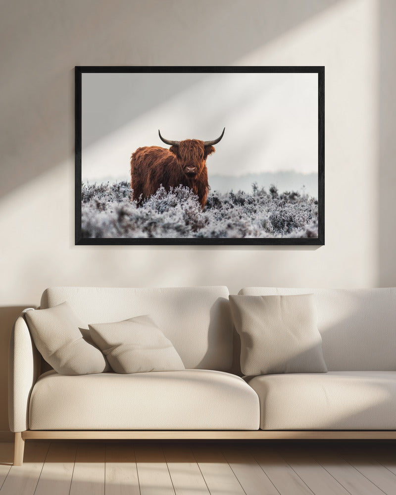 Wall Art Highlander