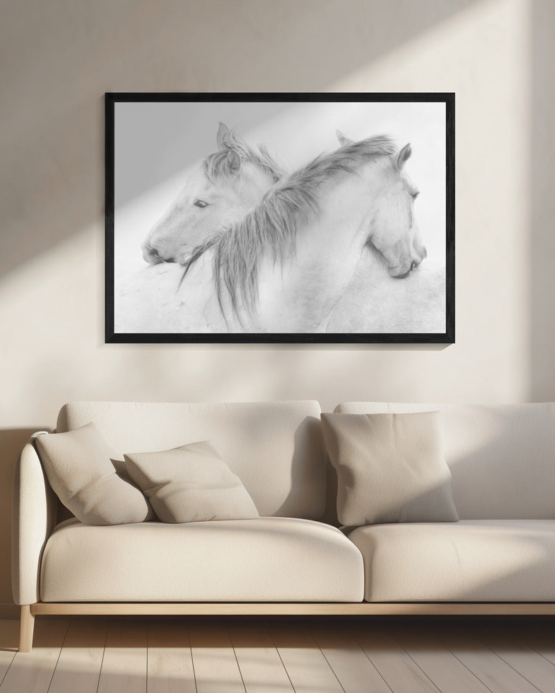 Chevaux