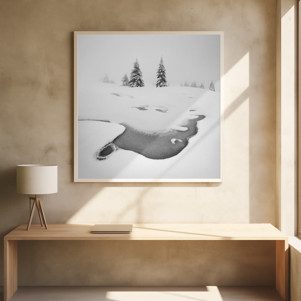 Wall art Frozen swamps