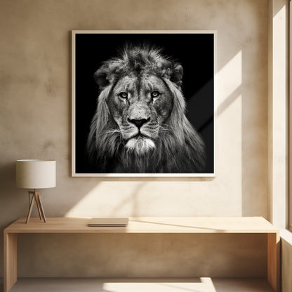 Art mural Impression sur toile jeune lion mâle