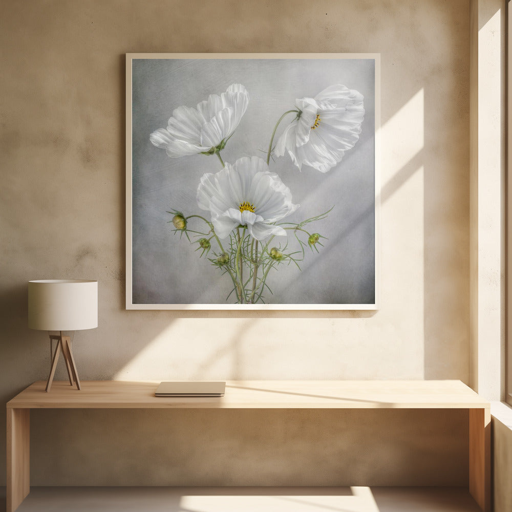 Wall Art Cosmos Charm Irises