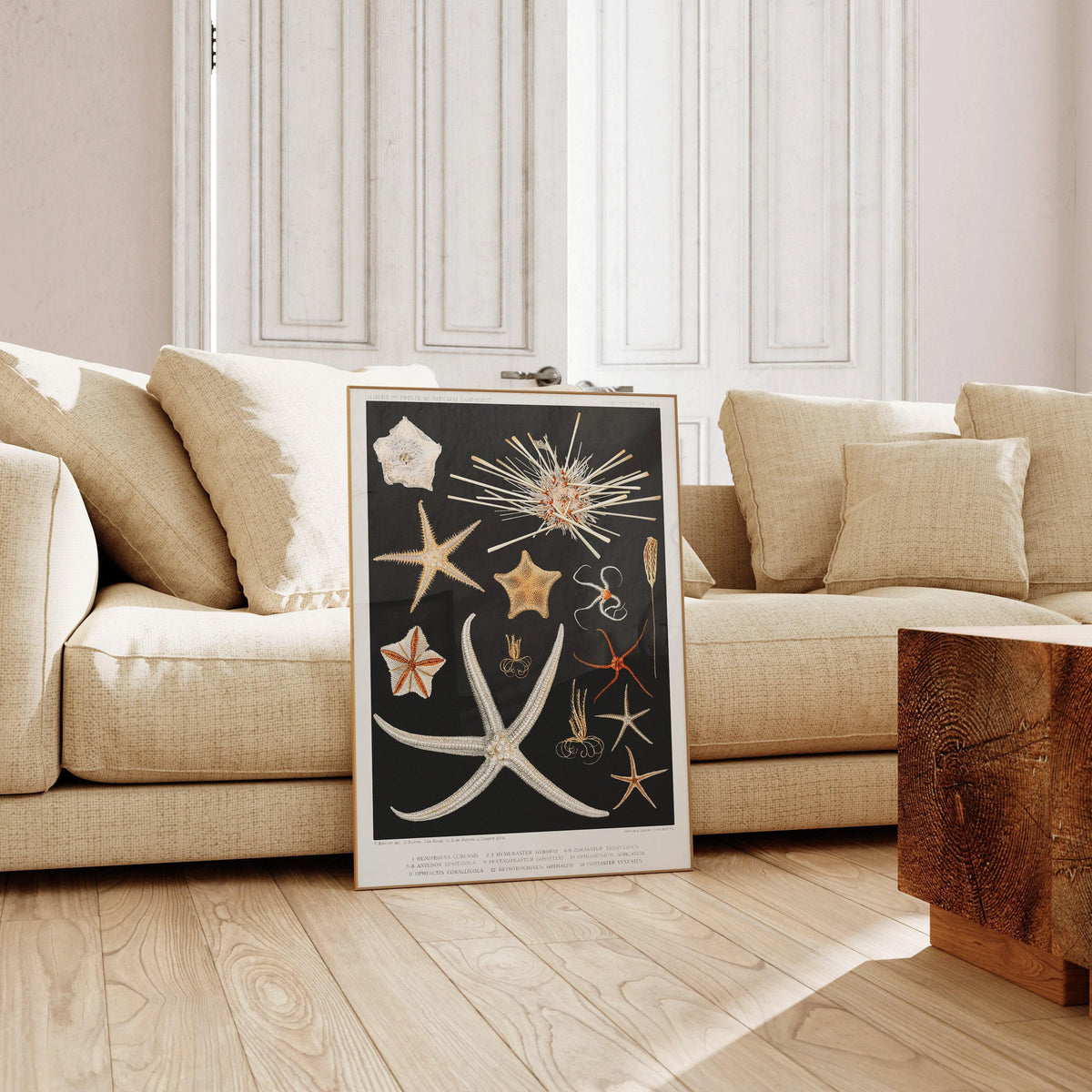 Starfish Print: Vintage Marine Life Sketch Art (Handframed or Unframed)