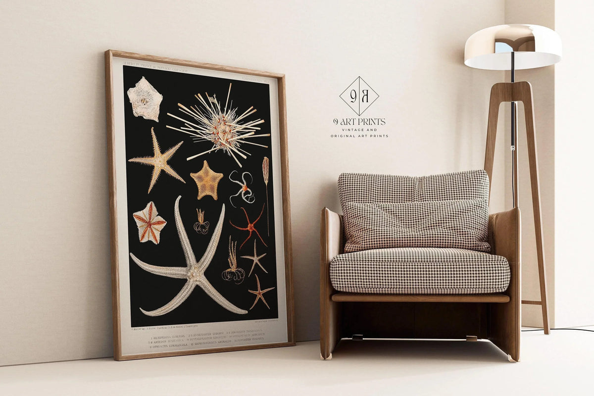 Starfish Print: Vintage Marine Life Sketch Art (Handframed or Unframed)