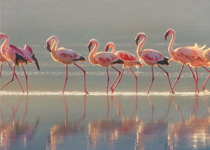 Wall art Flamingo Landscape