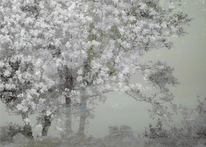 Wall Art Spring